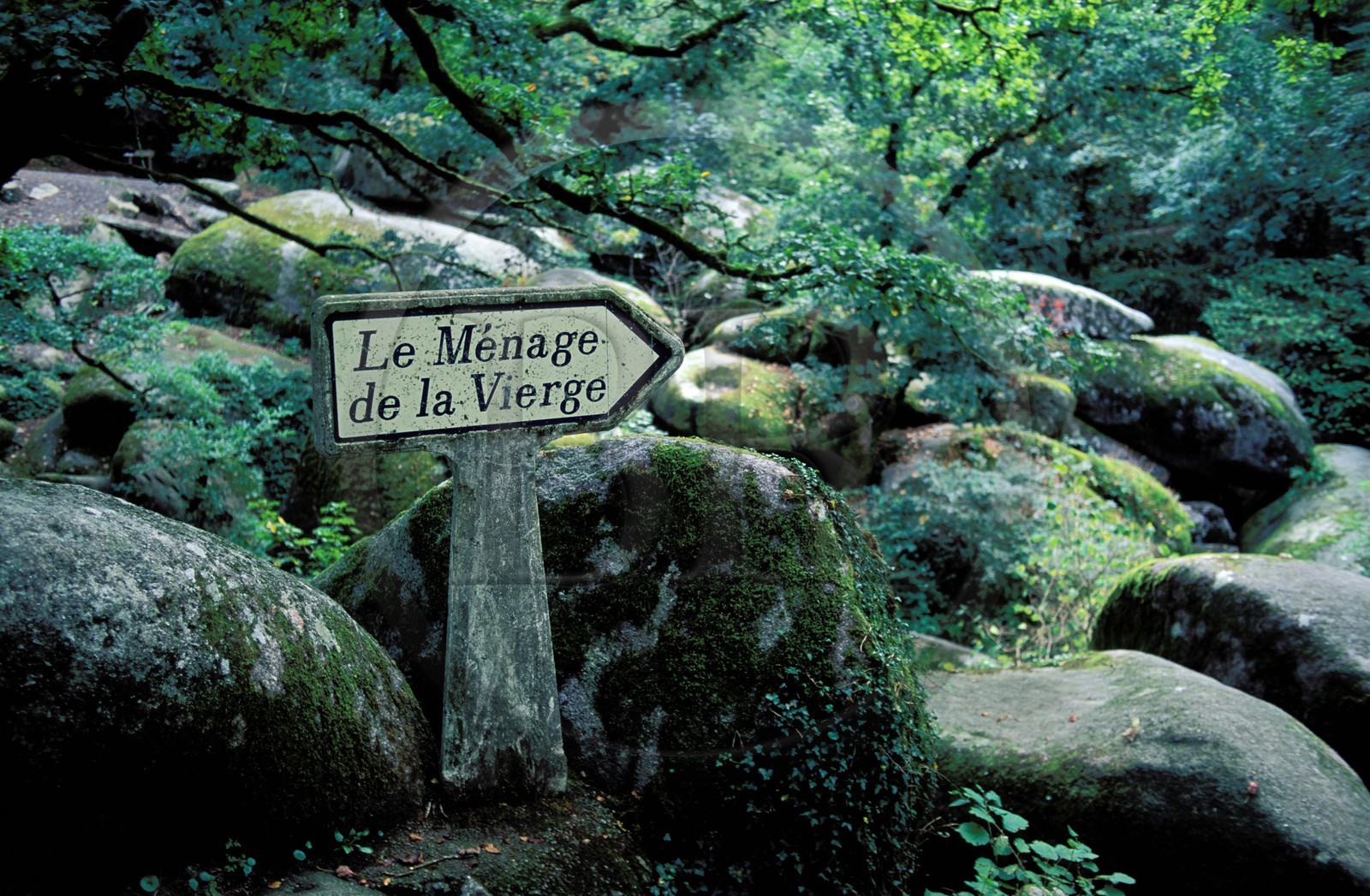 France, Finistère (29), les rochers d'Huelgoat (Parc régional d'Armorique)