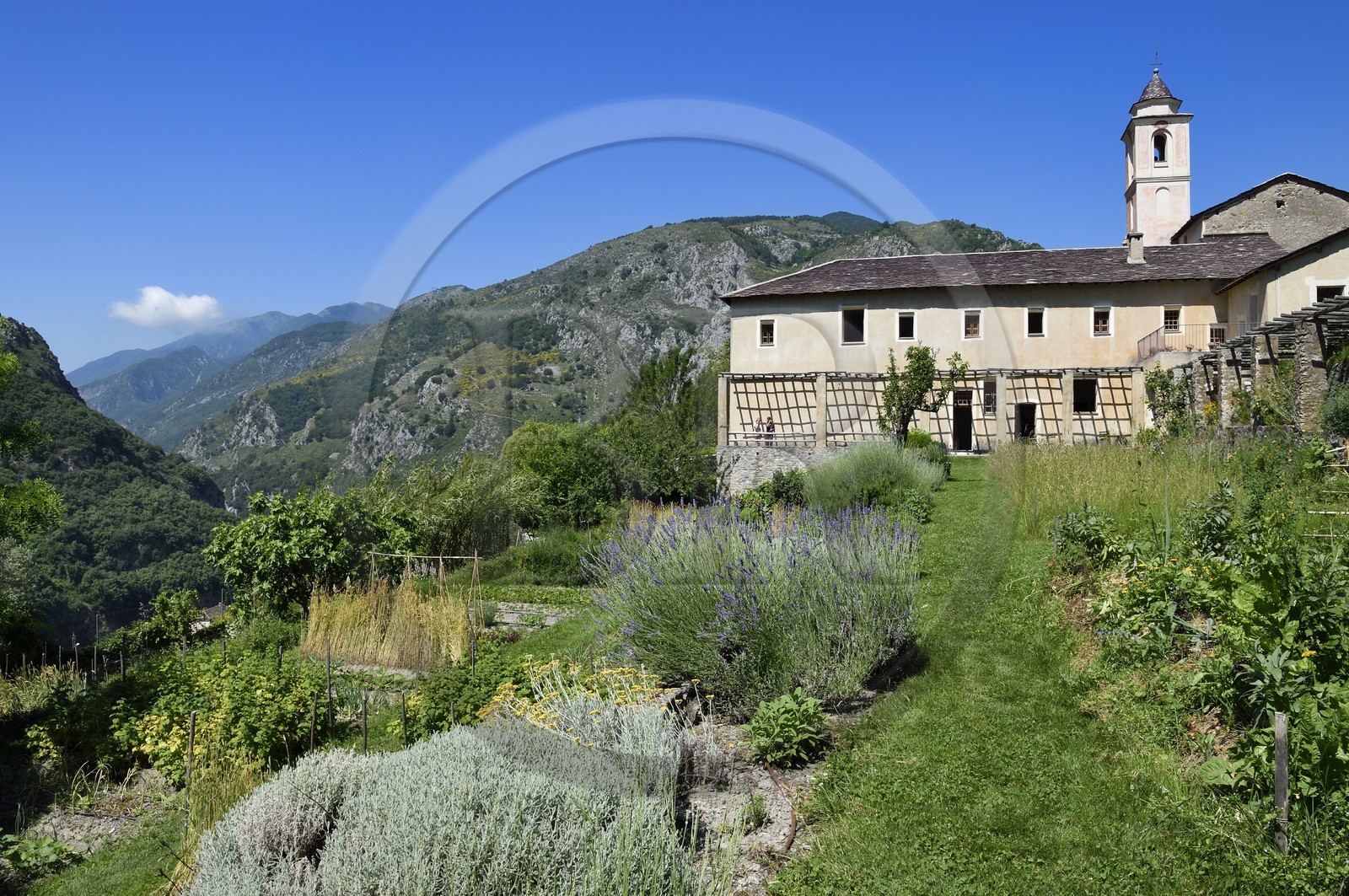 France, Alpes-Maritimes (06), vallée de la Roya (arrière-pays niçois), au pied du parc national du Mercantour, Saorge, le monastère de Saorge (Centre des monuments nationaux) ancien Couvent Franciscain Notre-Dame-des-Miracles, le jardin et le potager