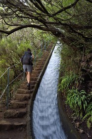 Portugal, Madeira Island, hike in the forest of Rabaçal by the levada do Alecrim, one of the countless irrigation canals that guide the water from the highlands to the cultivated terraces in the south