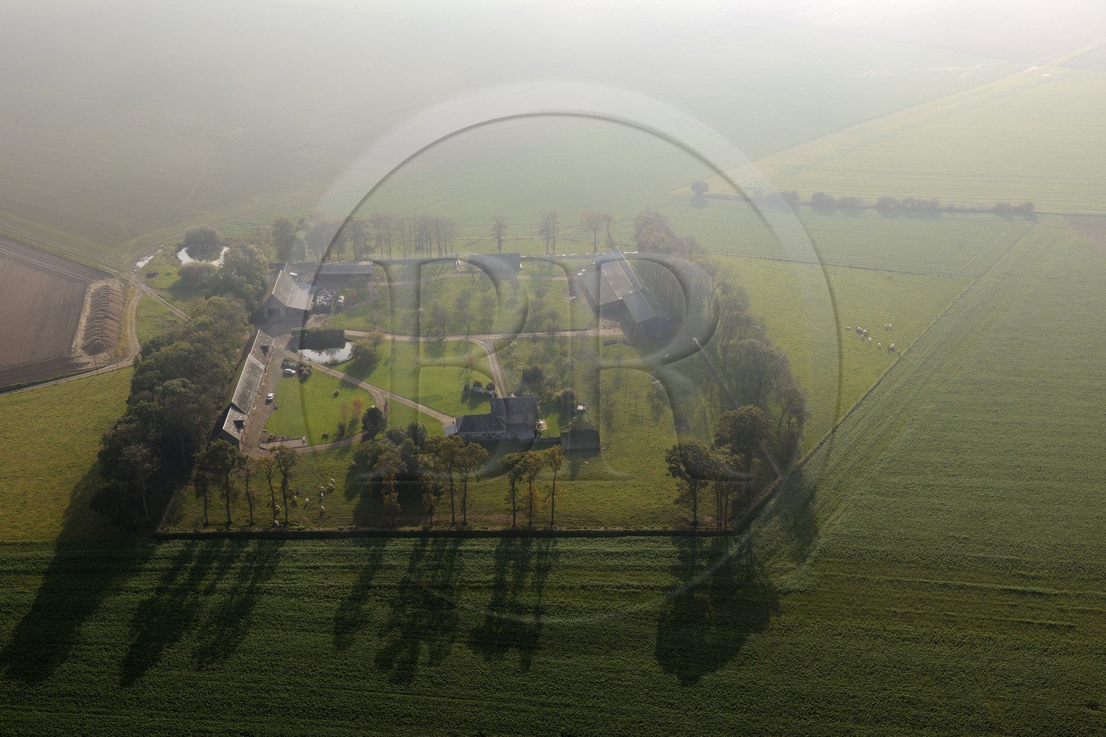 France, Seine-Maritime (76), Saussemare-en-Caux, clos-masure, ferme traditionelle normande (vue aérienne)