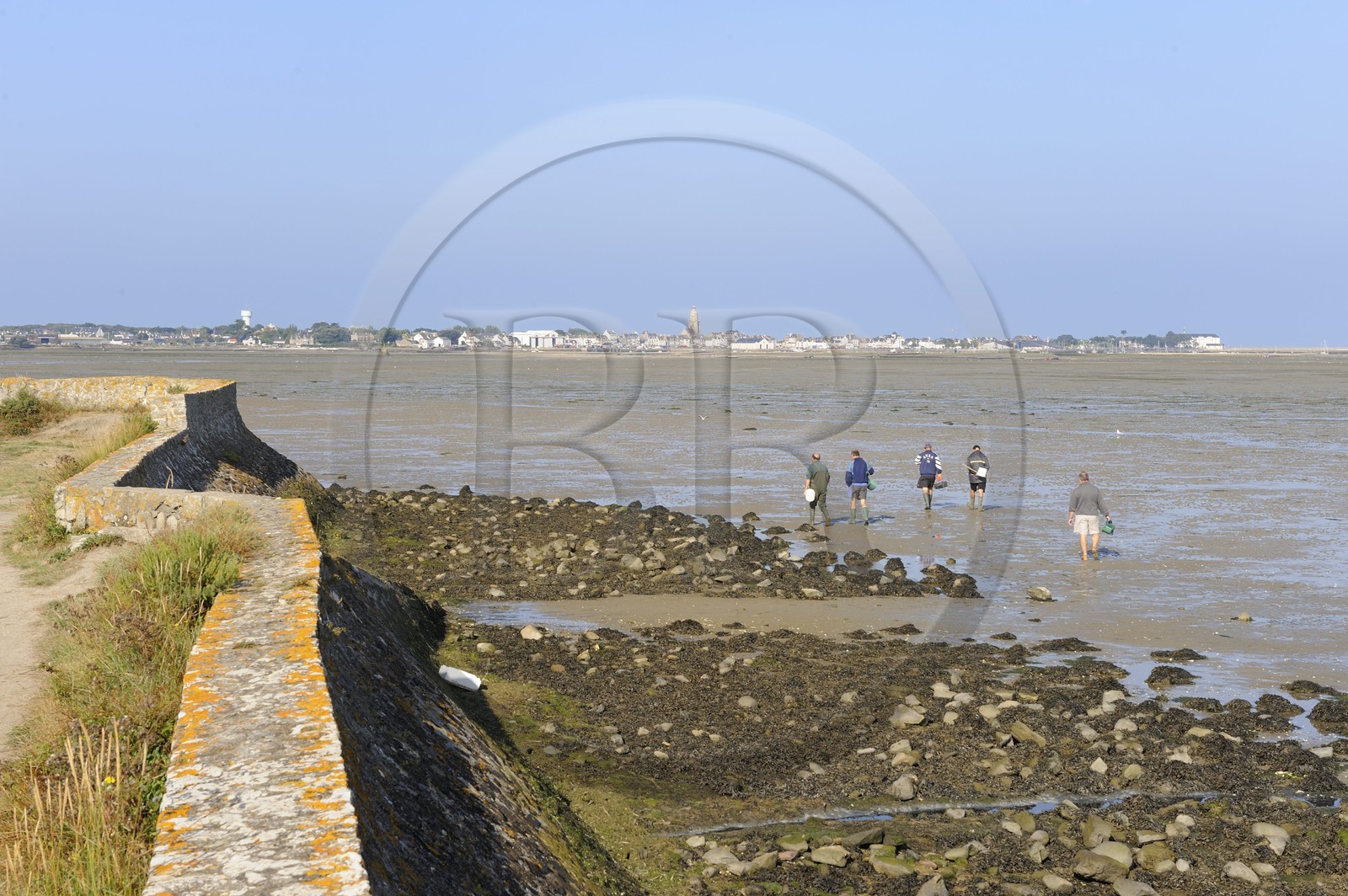 France, Loire-Atlantique (44), la Presqu'île de Guérande, pêche à pied avec Le Croisic au fond