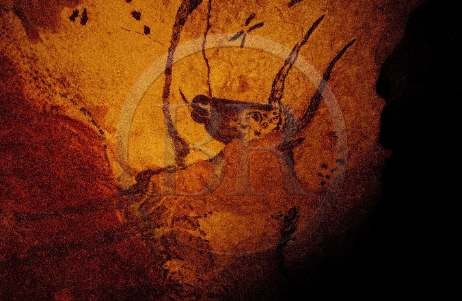 France, Dordogne (24), Montignac, grotte de Lascaux II