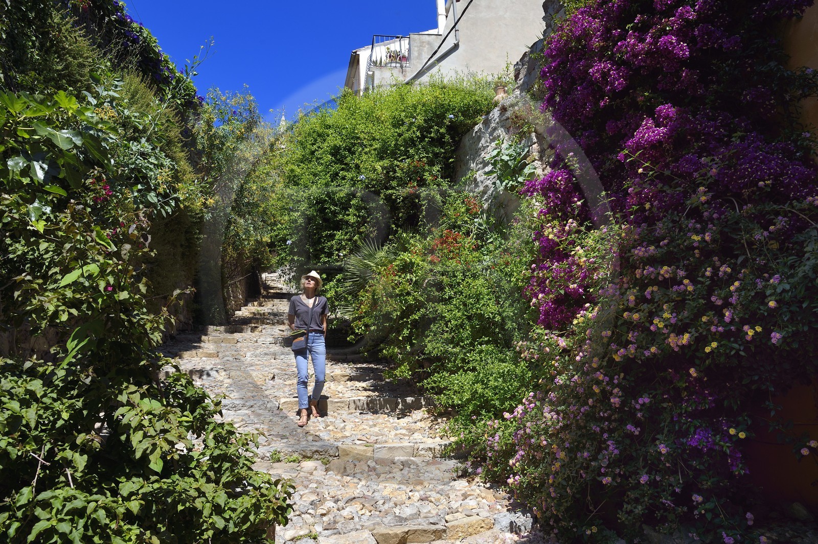 France, Var (83), Hyères, rue du Repos