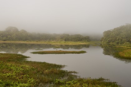 Panama, the Isthmus of Panama between Panama City and Colon along the train line of the Panama Canal Railway