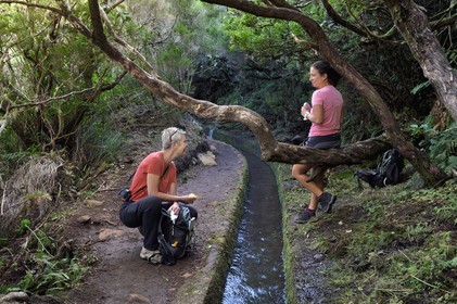 Portugal, Madeira Island, hike in the forest of Rabaçal by the levada do Alecrim, one of the countless irrigation canals that guide the water from the highlands to the cultivated terraces in the south, picnic break
