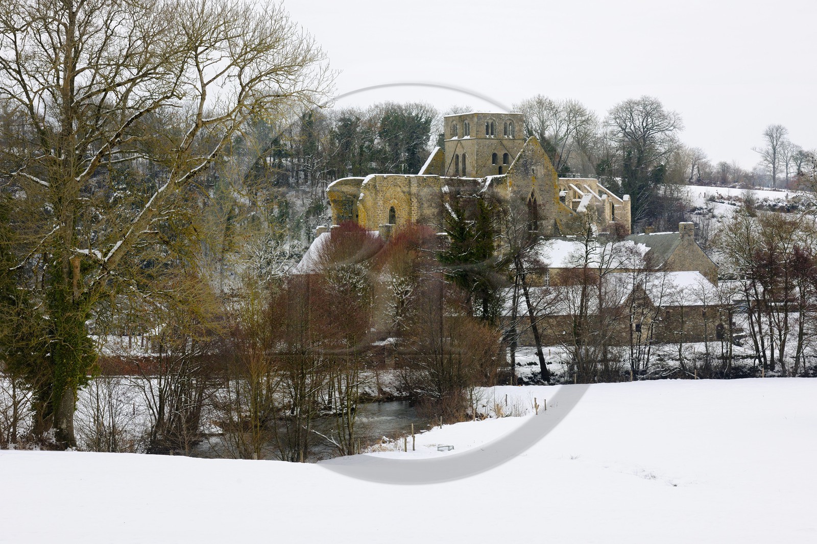France, Manche (50), Cotentin, ruine de l'abbaye bénédictine de Hambye
