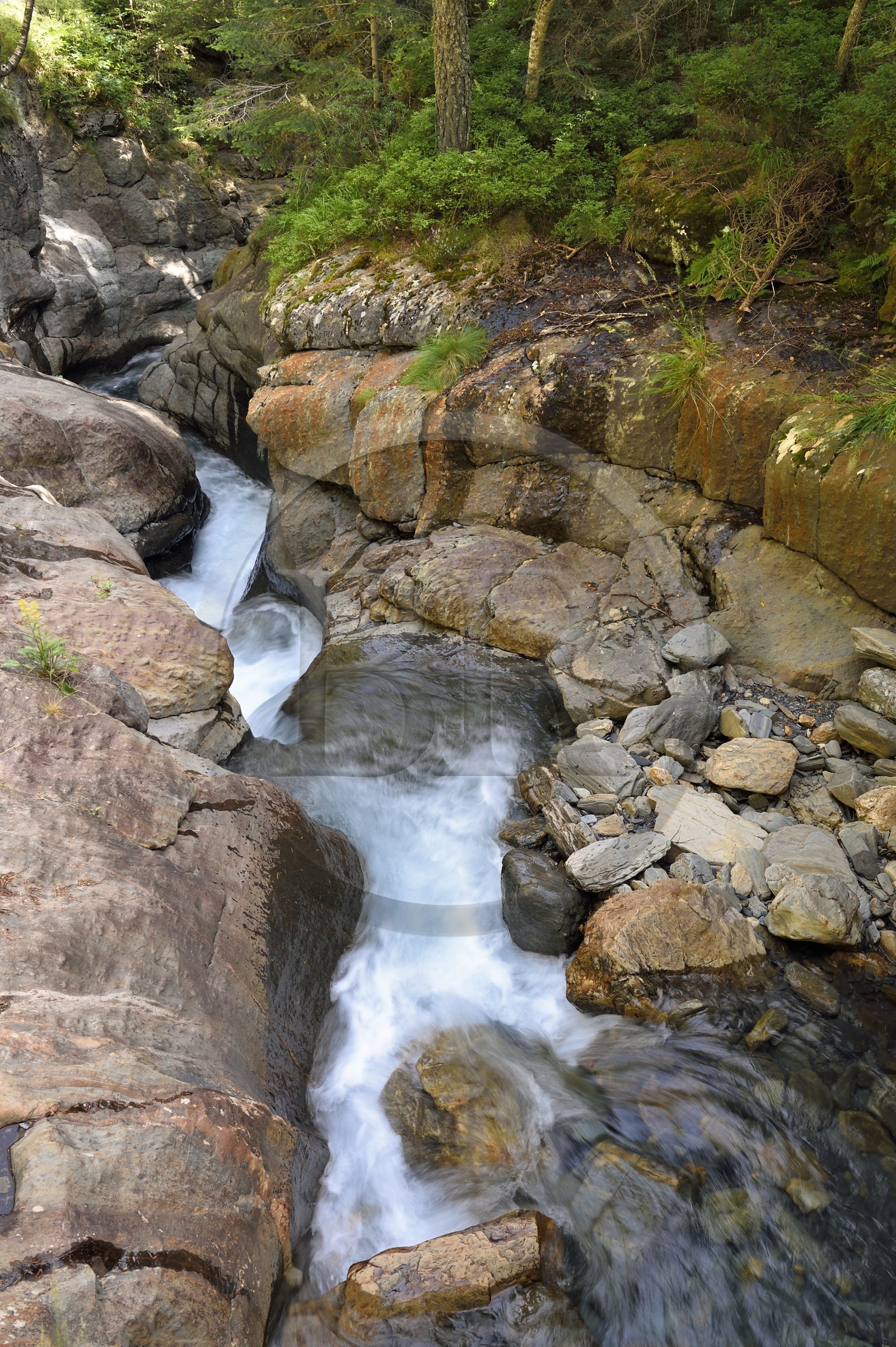 France, Hautes-Pyrénées (65), Saint-Lary-Soulan, vallée du Rioumajou, la (rivière) Neste de Rioumajou