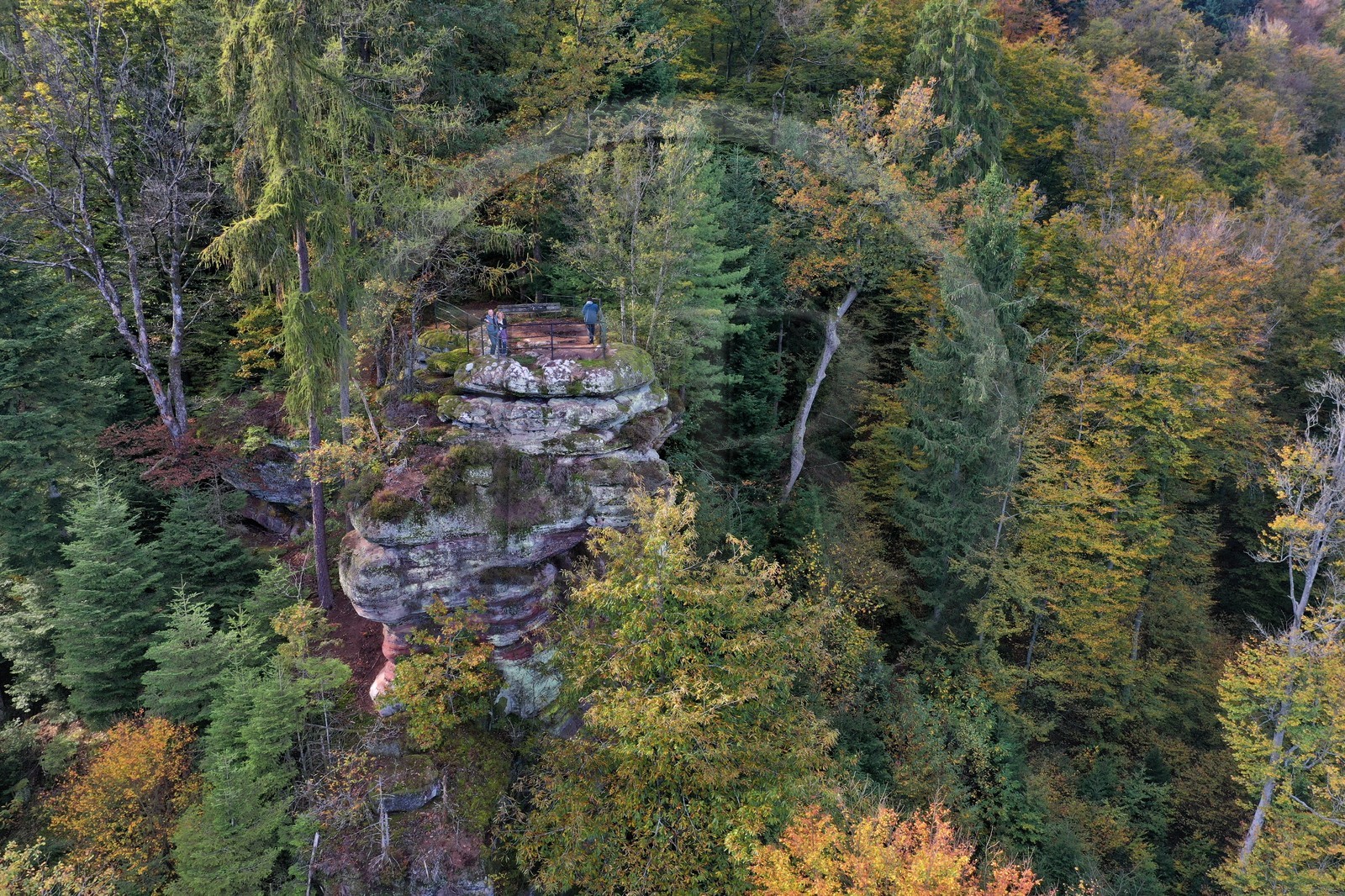 France, Bas-Rhin (67), Parc Naturel r