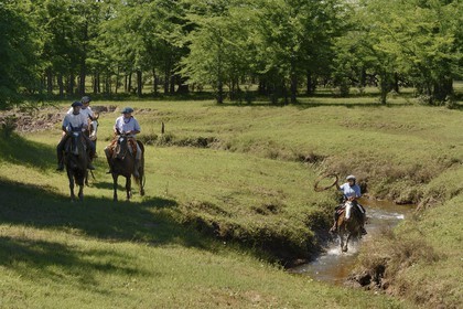 Argentine, province de Buenos Aires, San Antonio de Areco, estancia La Bamba de Areco, gauchos au travail remontant la rivière