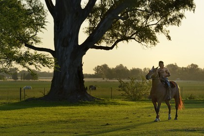 Argentine, province de Buenos Aires, San Antonio de Areco, estancia La Bamba de Areco, un cavalier amerindien avec son cheval