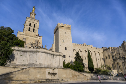 France, Vaucluse, Avignon, the Doms Cathedral and the Palais des Papes (Palace of the Popes) listed as World heritage by UNESCO