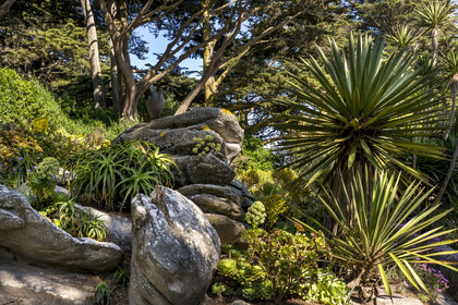 France, Finistère (29), Iles du Ponant, Ile de Batz, jardin Georges Delaselle ou jardin colonial, jardin exotique présentant une collection botanique provenant des cinq continents