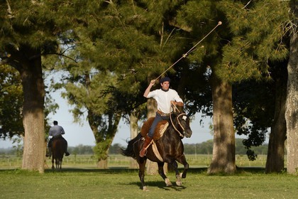 Argentina, Buenos Aires Province, San Antonio de Areco, estancia La Bamba de Areco, gaucho demonstrating the use of bolas (or boleadoras) designed to capture animals by interfering with their feet