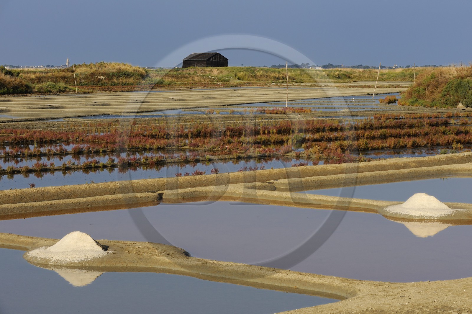 France, Loire-Atlantique (44), la Presqu'île de Guérande, tas de sel dans les marais salants