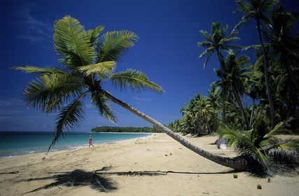 Dominican Republic, Samana peninsula, the desert and wild El Limon beach near Miches