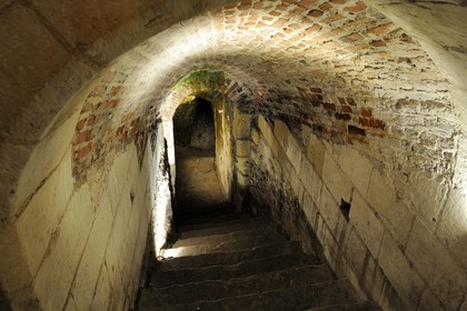 France, Indre et Loire, Amboise, Loire Valley listed as World Heritage by UNESCO, Le Clos Luce castle, Leonardo Da Vinci park (Leonardo Da Vinci's last house), entrance underground