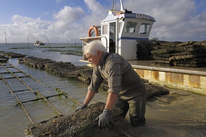 France, Charente-Maritime (17), le bassin Marrennes-Oléron au large de l'Ile d'Oléron, l'ostréiculteur André Massé dans un de ses parcs à huîtres
