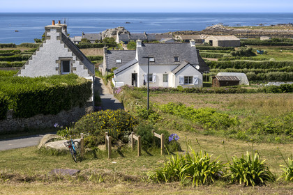 France, Finistère (29), Iles du Ponant, Ile de Batz, hameau de la côte nord ouest