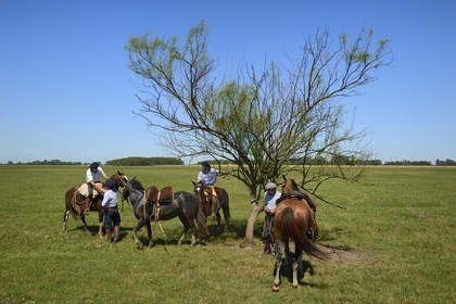 Argentine, province de Buenos Aires, San Antonio de Areco, estancia La Bamba de Areco, halte des gauchos sous un arbre endémique appelé Sina Sina