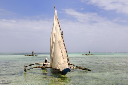 Tanzania, Zanzibar Archipelago, Unguja island (Zanzibar), southeast coast, Bwejuu, fisherman on a dhow (traditional Arab sailing vessel)