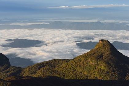 Sri Lanka, center province, Dalhousie, cloud sea from the top of the Adam's Peak