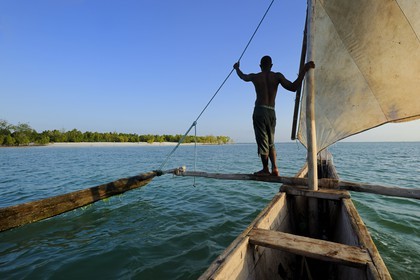 Tanzanie, archipel de Zanzibar, île de Unguja (Zanzibar), côte est, baie de Chwaka vers Michamvi, un dhow (boutre traditionnel)