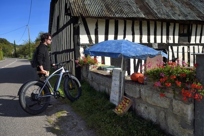 France, Seine-Maritime (76), Parc naturel régional des Boucles de la Seine normande, hameau de Beaulieu à Bardouville, vente de pommes en direct à la ferme de Simone Vauclin