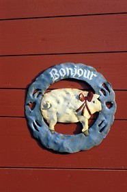 France, Var, Provence Verte (Green Provence), Bras, next to Saint Maximin, bed and breakfast Le Peyrourier, une campagne en Provence