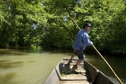 France, Bas Rhin, Ebersmunster and Muttersholtz region, the Ried, the boatman Patrick Unterstock in a small flat wooden bottom boat on the Ill river