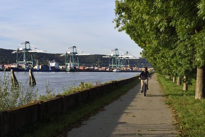 France, Seine-Maritime, Norman Seine River Meanders Regional Nature Park, Hautot sur Seine, cyclist on the veloroute facing the Grand Port Maritime of Rouen