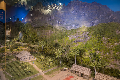 France, Morbihan, Port-Louis, Port Louis Citadel, museum of the Compagnie des Indes, showcase dedicated to Reunion Island (Bourbon)