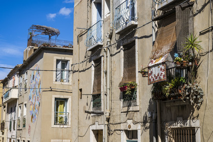 France, Hérault (34), Sète, le Quartier Haut, fresque murale qui fait parti du MACO - Musée à ciel ouvert, Lumière du soir de l'artiste Goddog dans la rue Pascal