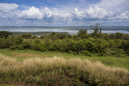 Rwanda, Akagera National Park, Lake Ihema
