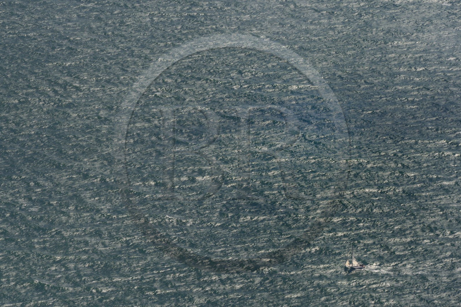 Royaume-Uni, Angleterre, voilier naviguant dans la Manche (vue aérienne)