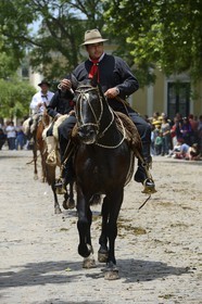 Argentine, province de Buenos Aires, San Antonio de Areco, fête du Jour de la Tradition (Dia de la Tradicion), gaucho à cheval défilant en habit traditionnel