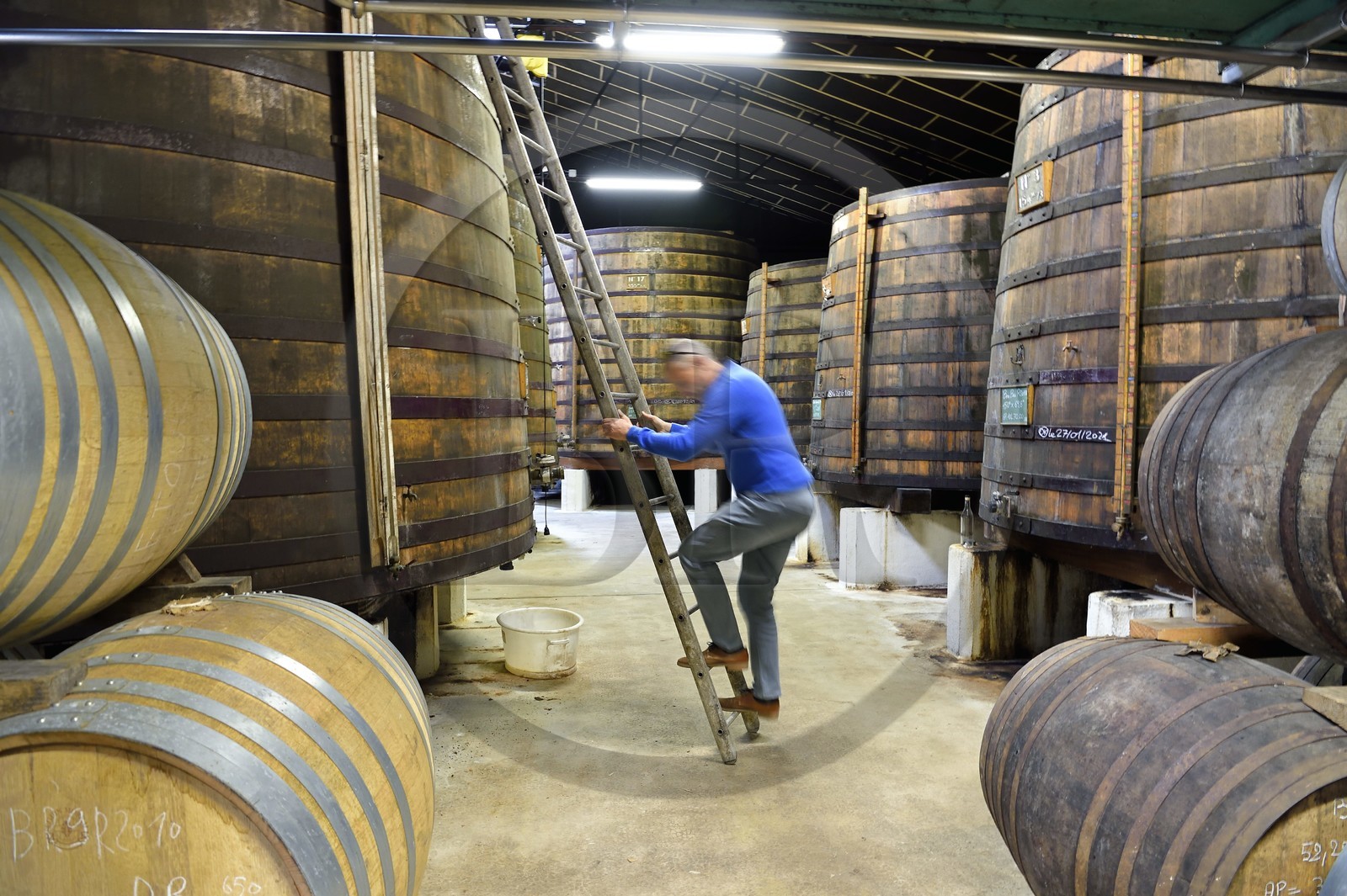 France, Charente (16), Sireuil, Distillerie des Moisans, dans les chais de vieillissement et d'assemblages,
