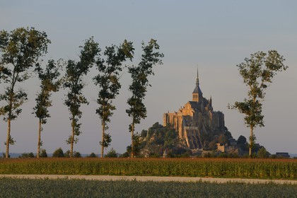France, Manche, Mont Saint Michel, listed as World Heritage by UNESCO, and the polders, growing corn