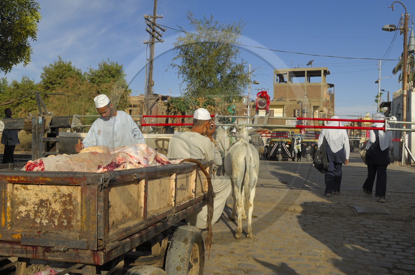 Egypte, Haute Egypte, Daraw au nord d'Assouan