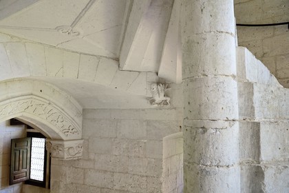 France, Dordogne, Périgord Vert, Villars, Puyguilhem castle, pavillon Barlong, griffin under the Grand spiral Staircase