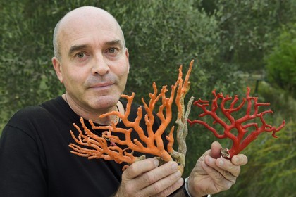 France, Corse du Sud, Bonifacio, Upper Town, Mediterranean red coral, the coral fisherman Jean-Philippe Giordano