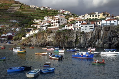 Portugal, Madeira Island, port of the fishing village of Camara de Lobos