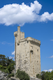 France, Gard, Villeneuve les Avignon, the 14th century Philippe Le Bel tower