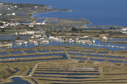 France, Charente-Maritime (17), Ile d'Oléron, Claires et port ostréicole du Chenal d'Ors (vue aérienne)
