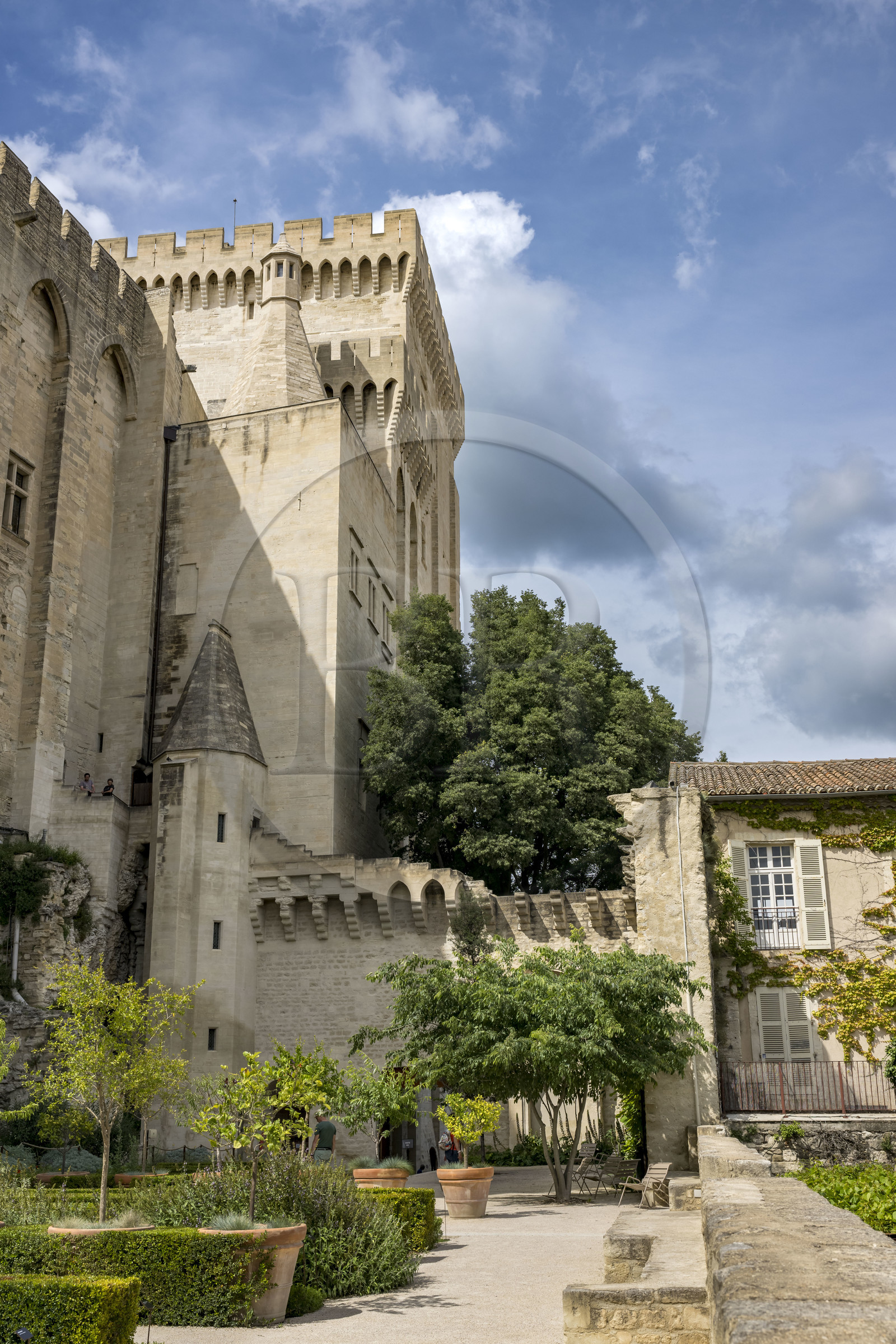 France, Vaucluse (84), Avignon, Palais des Papes classé Patrimoine mondial de l'UNESCO, la tour de Trouillas, la plus haute en arrière plan, la tour des Latrines ou de la Glacière et la tour des Cuisines avec sa cheminée géante donnent sur les jardins pontificaux à l'est