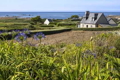 France, Finistère, Ponant Islands, Ile de Batz (Batz Island), hamlet on the northwest coast