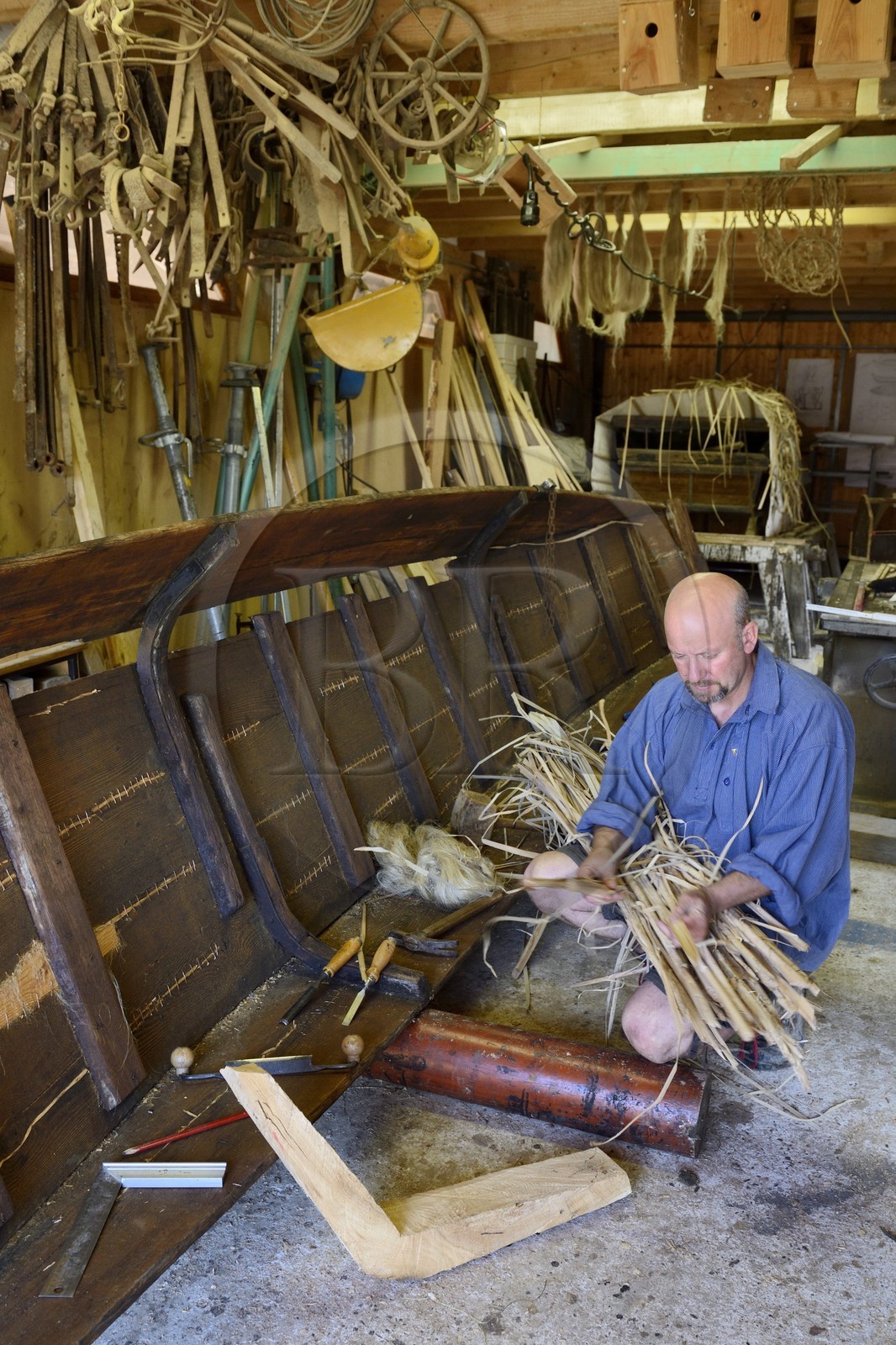 France, Bas-Rhin (67), Muttersholtz, le Grand Ried, le batelier Patrick Unterstock réparant une barque à fond plat en bois