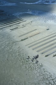 France, Manche, Cotentin, Utah beach, beach of the Normandy landings (aerial view)