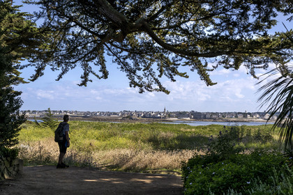 France, Finistère (29), Iles du Ponant, Ile de Batz, jardin Georges Delaselle ou jardin colonial, la Pointe de Penn-Batz et Roscoff en arrière plan