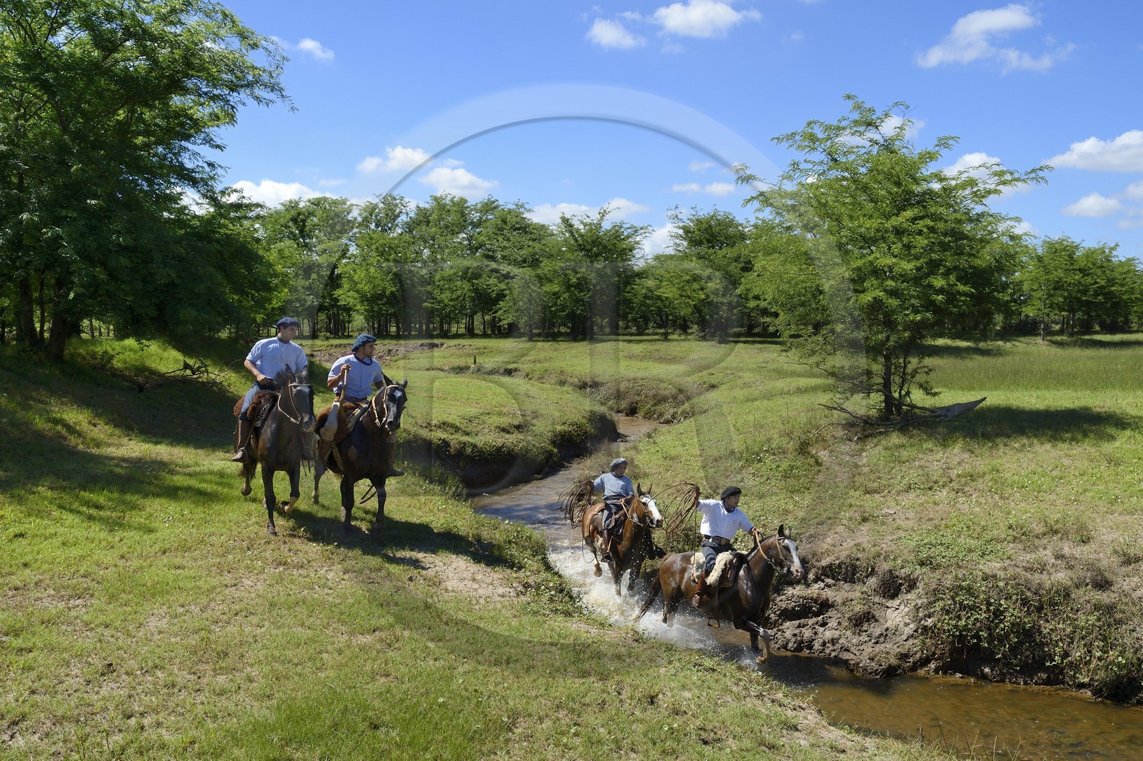 Argentine, province de Buenos Aires, San Antonio de Areco, estancia La Bamba de Areco, gauchos au travail remontant la rivière