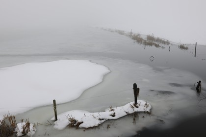 France, Manche, Cotentin, marshes of la Douve towards Liesville sur Douve